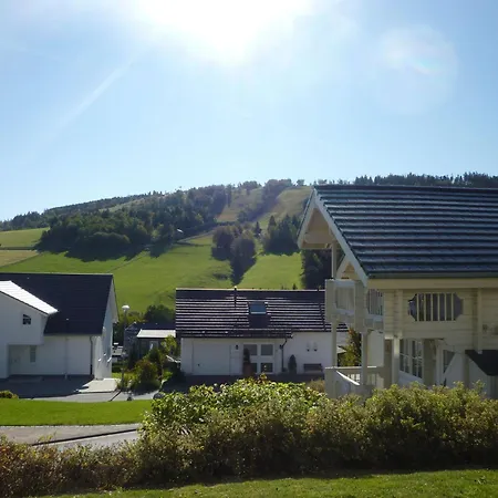 In Willingen With Terrace Willingen (Upland)