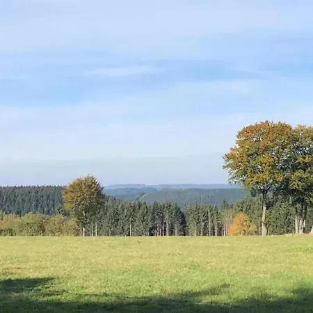 Apartment In With Terrace Willingen (Upland)