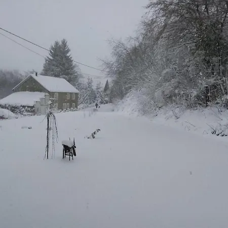 In Mit Terrasse * Willingen (Upland)