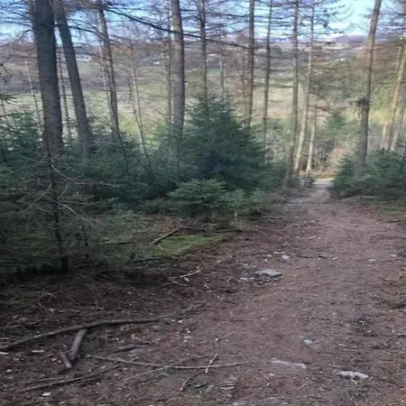 In Mit Terrasse Apartment