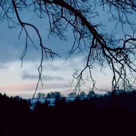 In Mit Terrasse Apartment *