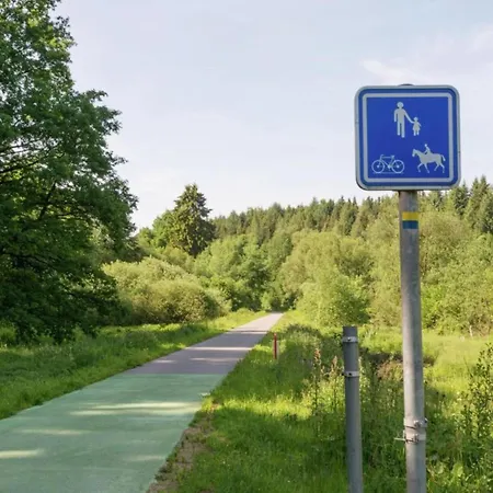 In Mit Terrasse * Willingen (Upland)