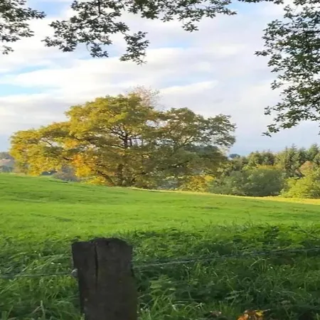 In Mit Terrasse Apartment *