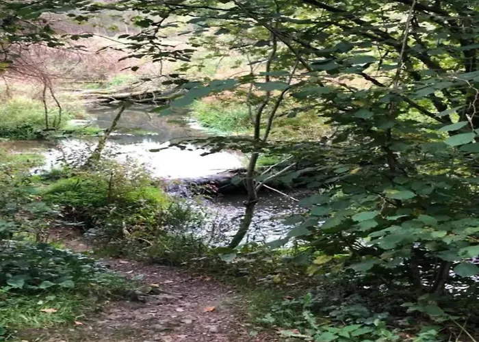 In Mit Terrasse Виллинген