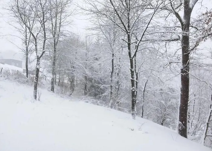 Апартаменты In Mit Terrasse *