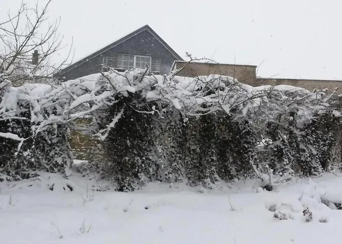 In Mit Terrasse Виллинген