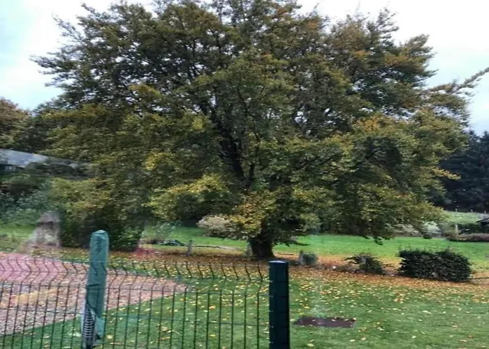 In Mit Terrasse Апартаменты Виллинген