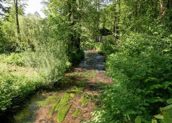 In Mit Terrasse Виллинген